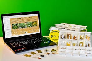 Коллекция натурально-интерактивная "Плоды сельскохозяйственных растений" - fgospostavki.ru - Лесной