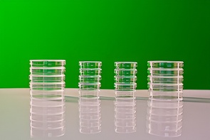 Набор чашек Петри - fgospostavki.ru - Лесной