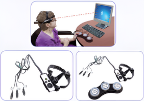 Адаптированная мышка в наборе - fgospostavki.ru - Лесной