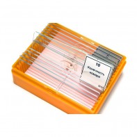 Набор готовых микропрепаратов (зоология) - fgospostavki.ru - Лесной