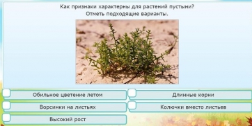 Интерактивные курсы. Окружающий мир 3 класс . Базовый. - fgospostavki.ru - Лесной