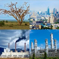 Модель-аппликация Биосфера и человек - fgospostavki.ru - Лесной