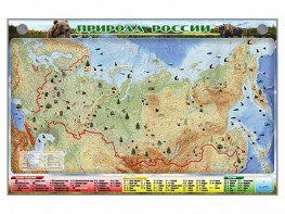 Электронно-информационный (маркерный) стенд "Природа России" - fgospostavki.ru - Лесной