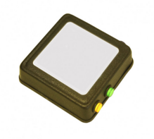 Говорящий магнит - fgospostavki.ru - Лесной