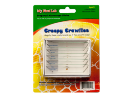 Набор микропрепаратов для микроскопа №2 «Насекомые» - fgospostavki.ru - Лесной