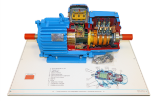 Стенд-планшет «Асинхронный двигатель с фазным ротором» - fgospostavki.ru - Лесной