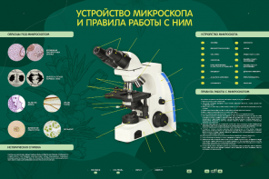 Электрифицированный стенд "Устройство микроскопа и правила работы c ним" - fgospostavki.ru - Лесной