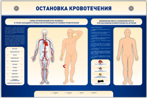 Электрифицированный стенд-тренажер "Остановка кровотечения" - fgospostavki.ru - Лесной