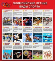 Стенд "Олимпийские летние виды спорта" - fgospostavki.ru - Лесной