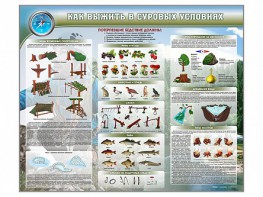 Стенд "Как выжить в суровых условиях" - fgospostavki.ru - Лесной