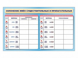 Фрагмент (демонстрационный) маркерный (двухсторонний) "Склонение имен существительных и прилагательных" - fgospostavki.ru - Лесной