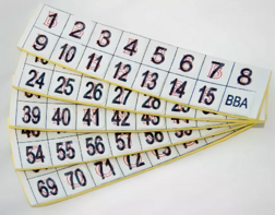 Фишки для игры «Бинго» со шрифтом Брайля - fgospostavki.ru - Лесной